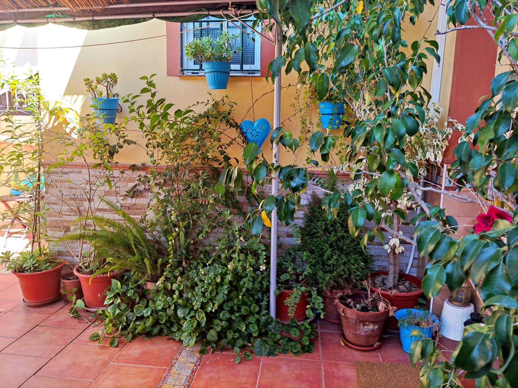 Apartamento Cool Garden Mairena del Aljarafe Exteriér fotografie