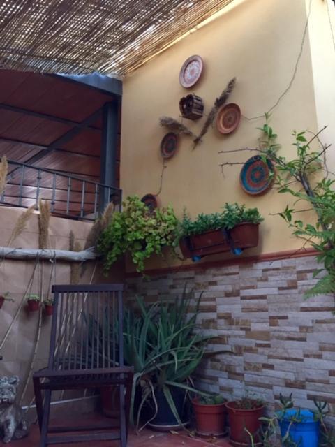Apartamento Cool Garden Mairena del Aljarafe Exteriér fotografie