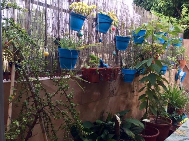 Apartamento Cool Garden Mairena del Aljarafe Exteriér fotografie