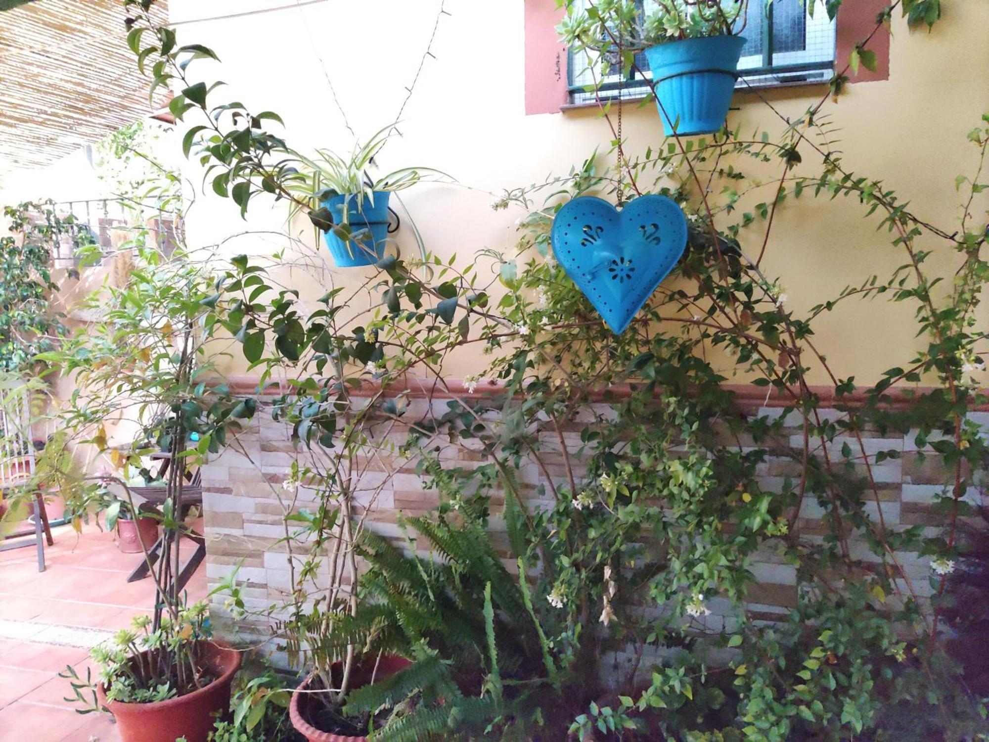 Apartamento Cool Garden Mairena del Aljarafe Exteriér fotografie